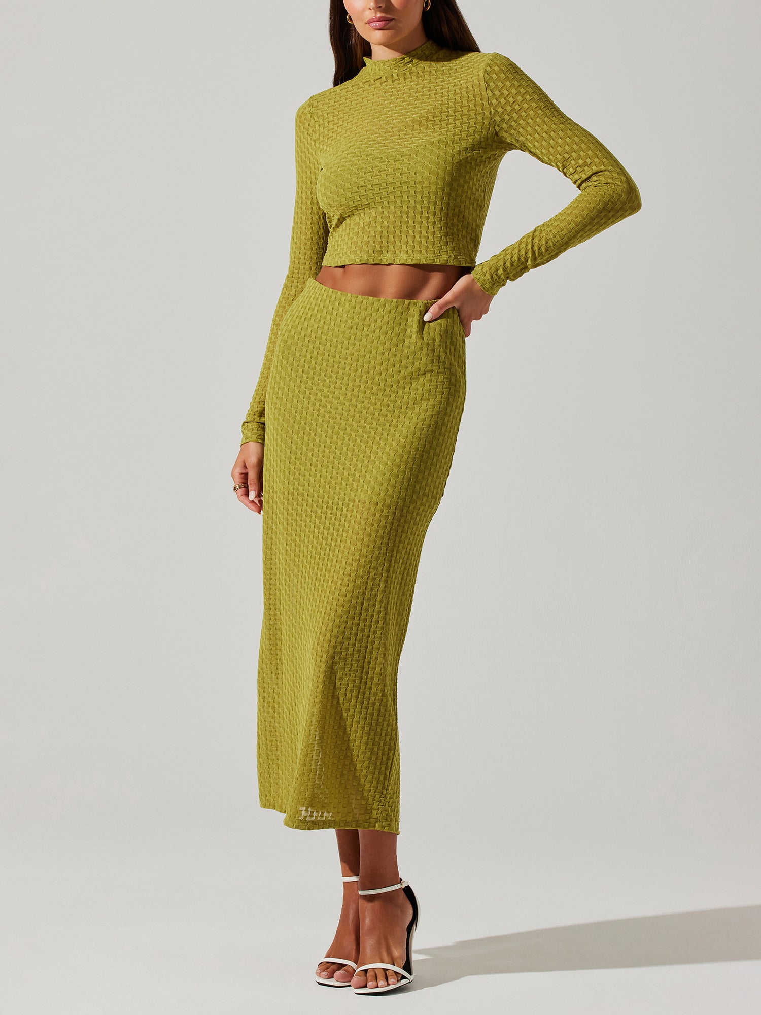 ASTR Midi Skirt