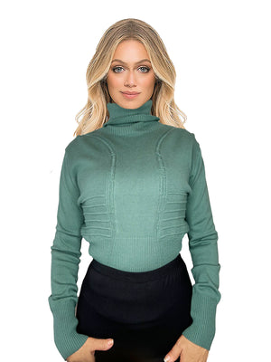 Kathie K Knit Neck Turtle Top