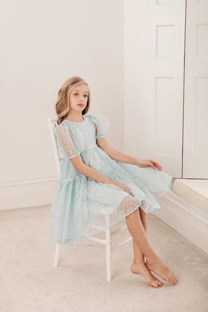 Petite Amalie Ella Embroidered Dot Dress - Dresses