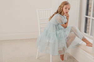 Petite Amalie Ella Embroidered Dot Dress - Dresses